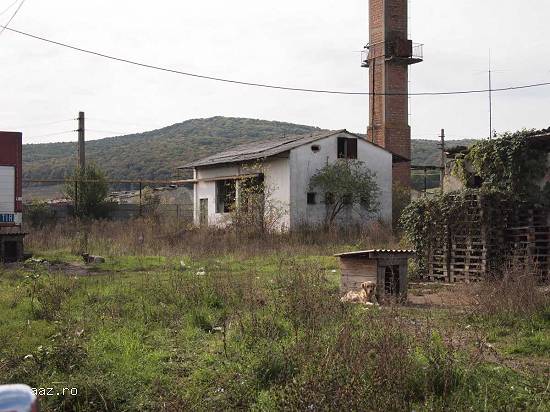 Lichidator judiciar vand proprietate industriala - Dej-