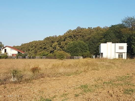 teren intravilan Vladiceasca-Snagov