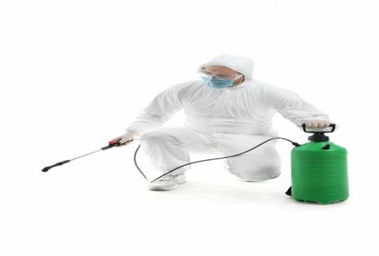 Dream Cleaning Botosani ofera servicii de curatenie si servicii DDD!