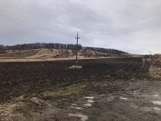 Lichidator judiciar vand teren situat in extravilanul localitatii Zalau,   jud Salaj.
