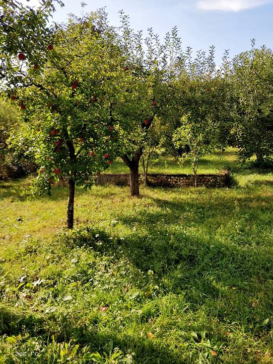Teren cu casuta batraneasca de vanzare