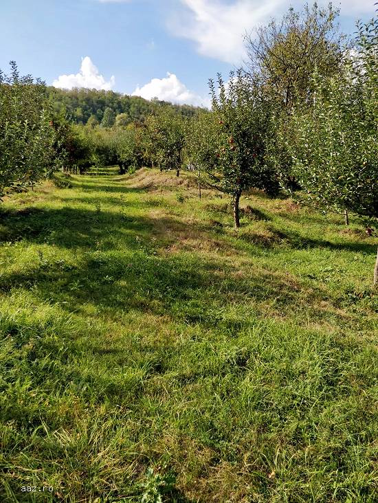 Teren cu casuta batraneasca de vanzare