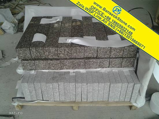 monumente funerare din granit PS020