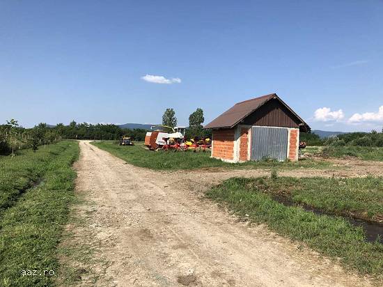 Lichidator judiciar vand ferma bovine - Satu Mare -