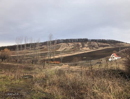 _Lichidator judiciar vand teren situat in extravilanul localitatii Zalau,   jud Salaj_