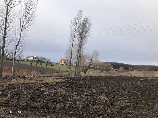 _Lichidator judiciar vand teren situat in extravilanul localitatii Zalau,   jud Salaj_