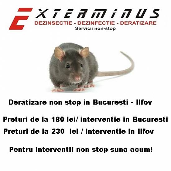 deratizare non stop bucuresti / ilfov
