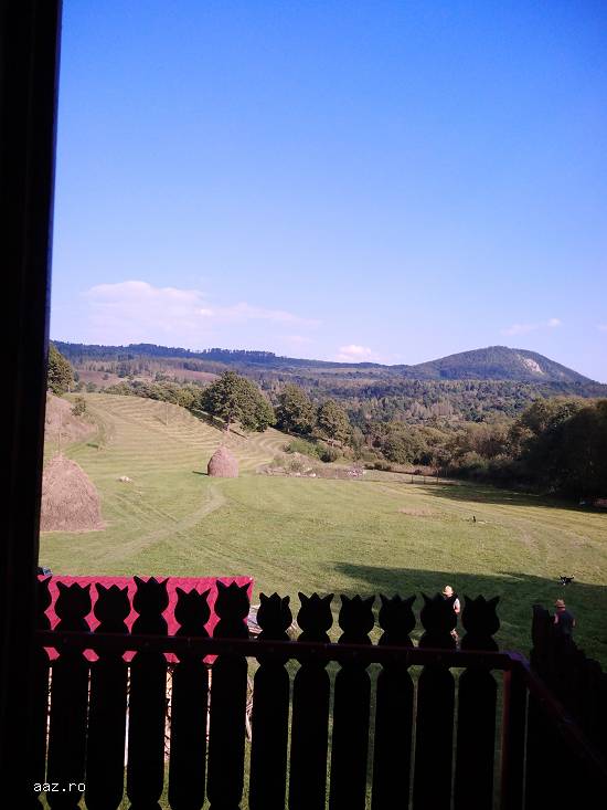 Cabana de inchiriat