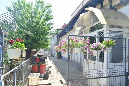 Ocazie,   prima proprietate de vanzare de la Piata Obor