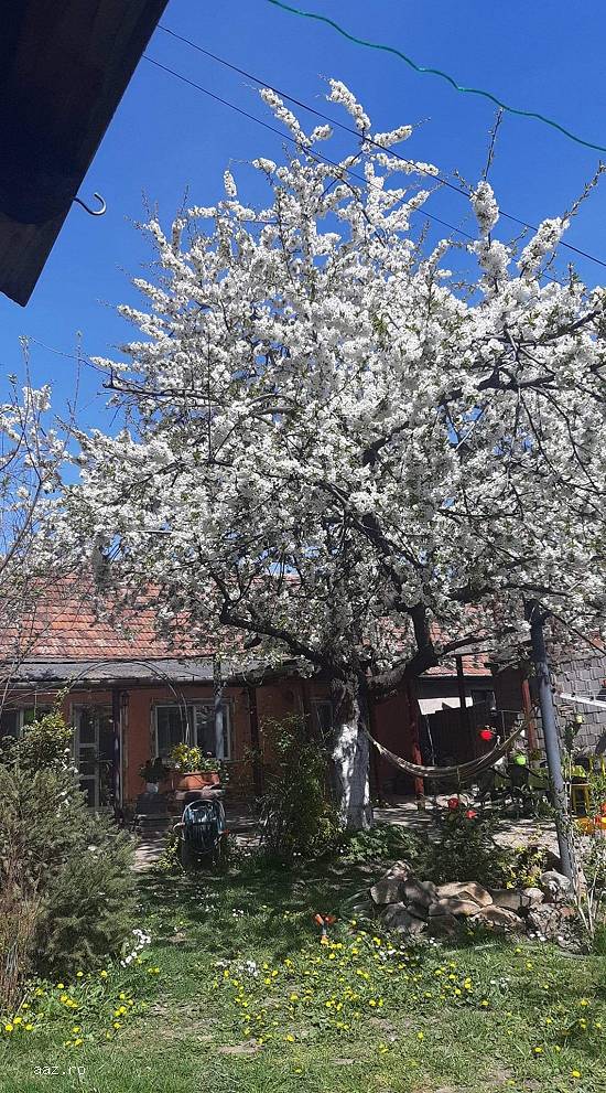 Casa de Vanzare Arad zona Confectii