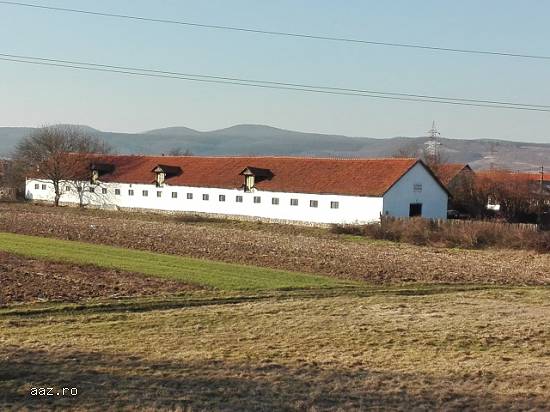 Spatiu industrial,  800mp,  Hunedoara,  25000euro