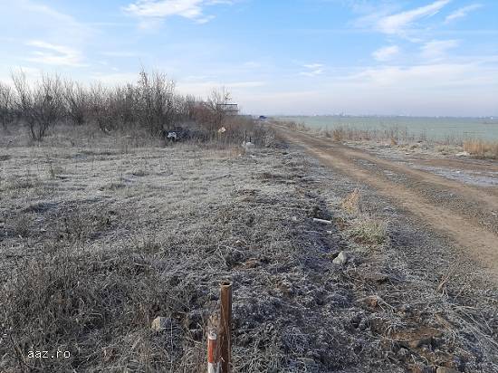 Teren Intravilan Magurele,  constructii 45e/mp