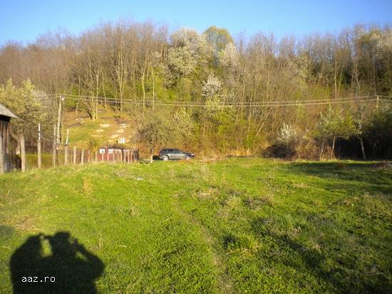 Teren intravilan,  Valcea(Milcoiu),  9600euro