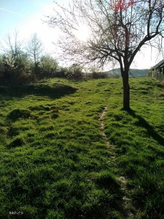 Teren intravilan,  Valcea(Milcoiu),  9600euro
