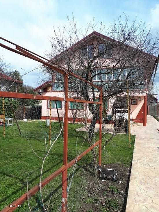 Vila 280mp,   piscina,   Clinceni,   155000 euro