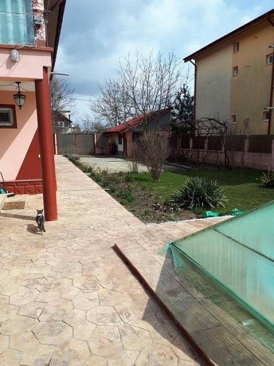 Vila 280mp,   piscina,   Clinceni,   155000 euro
