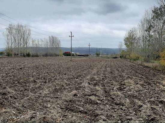Teren de vanzare la Dunăre