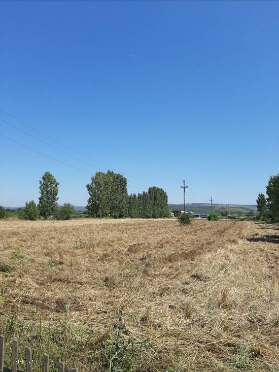 Teren de vanzare la Dunăre