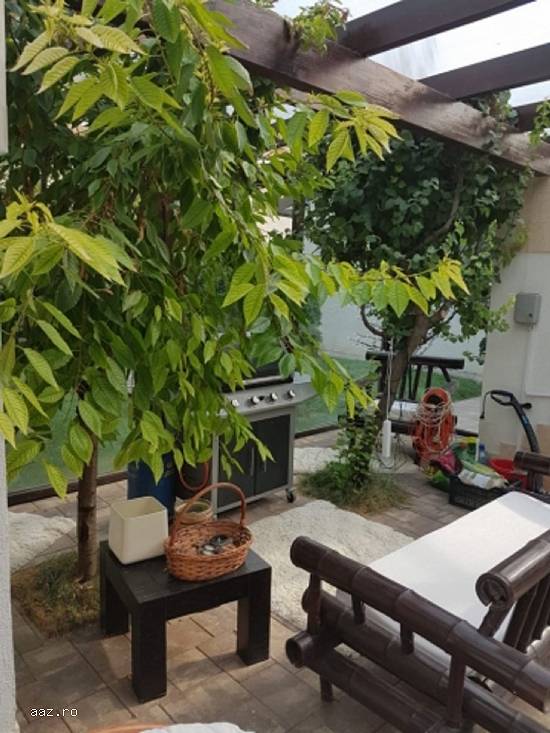 Vila 423mp,  LUX,  Otopeni,  IF,   550000 euro