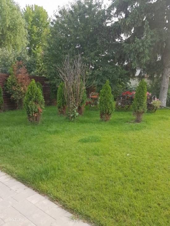 Vila 423mp,  LUX,  Otopeni,  IF,   550000 euro