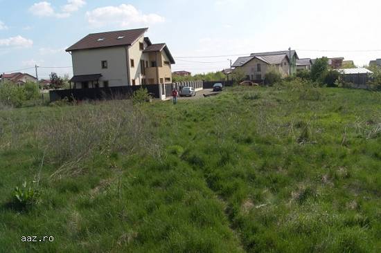 Teren Intravilan 500mp,   Mogosoaia,   75000 euro