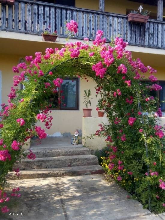 Casa 120 mp,   Furculesti,  TR,   40000 euro