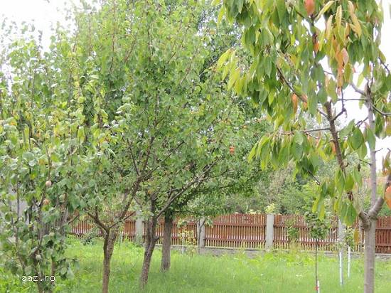 Casa 120 mp,   Furculesti,  TR,   40000 euro