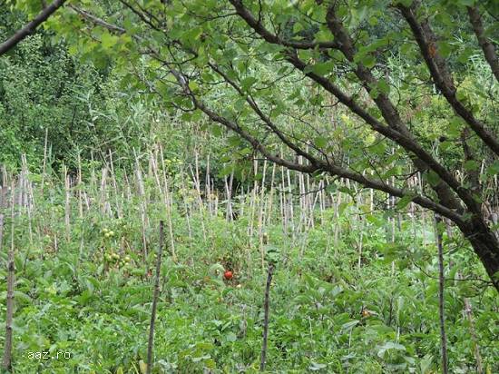 Casa 120 mp,   Furculesti,  TR,   40000 euro