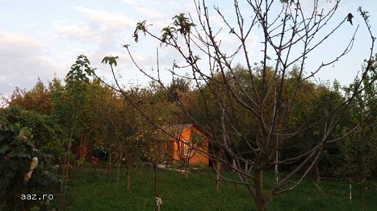 Casa 120 mp,   Furculesti,  TR,   40000 euro