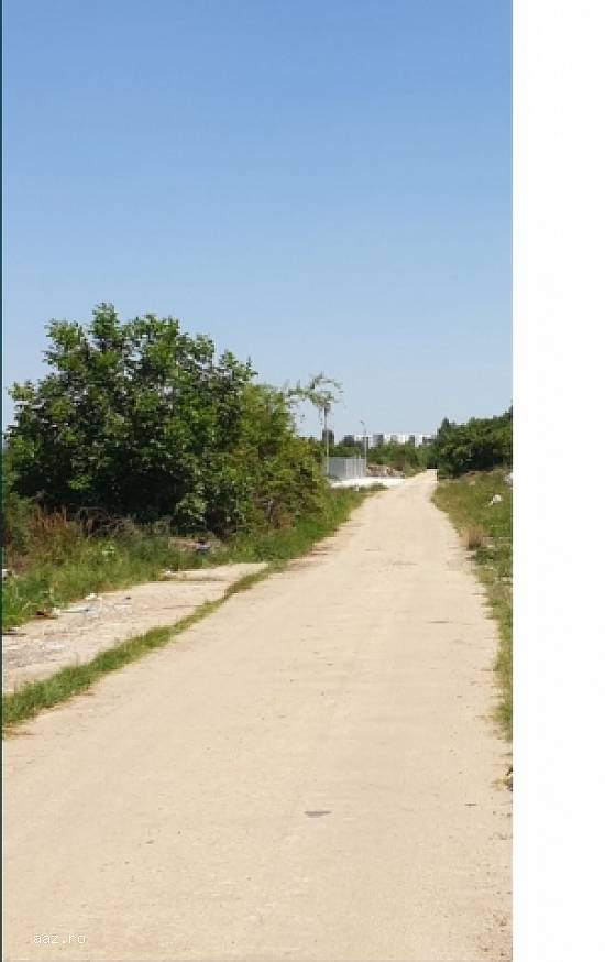 Teren Extravilan 10000mp,   Jilava,   600000 euro