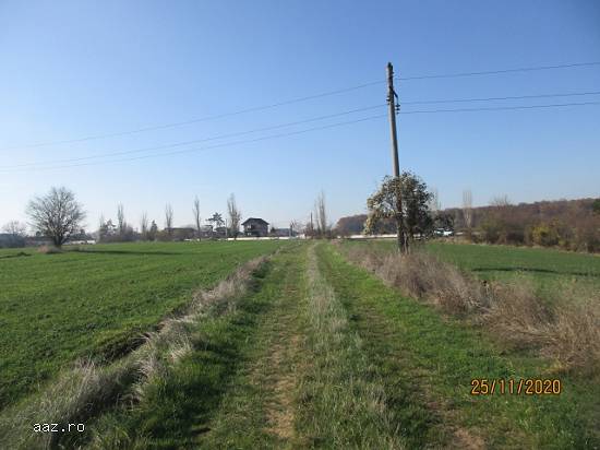 Teren intravilan(Ilfov),   7000mp,   99000euro
