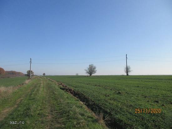 Teren intravilan(Ilfov),   7000mp,   99000euro