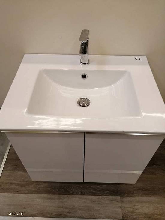 Instalatii Sanitare si Instalatii Electrice