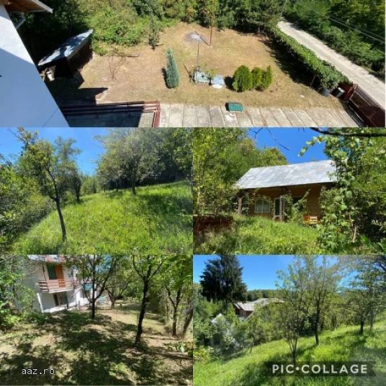 Vile,   600mp,   Campina,   Prahova,   215000 euro
