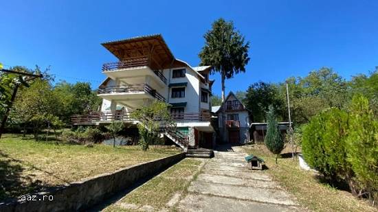 Vile,   600mp,   Campina,   Prahova,   215000 euro