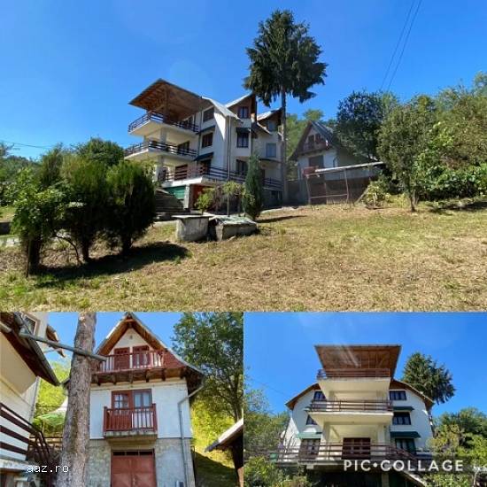 Vile,   600mp,   Campina,   Prahova,   215000 euro