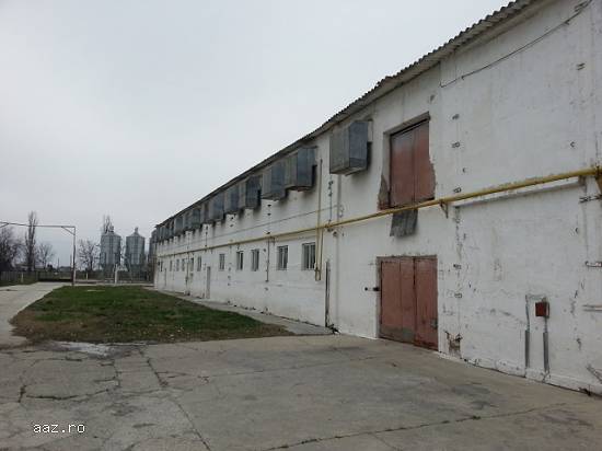 Hale Industriala,   25000mp,   Albesti,  PH,   15000 euro