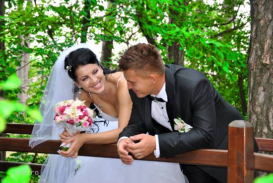 filmare video nunta Salaj fotograf & cameraman full HD Salaj 450euro