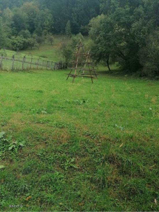 Teren intravilan,   2569mp,    Stoenesti,   Arges,   20552 euro