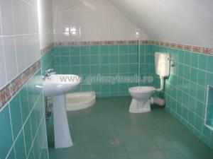 Rosetti,   zona cu vad,   inchiriere vila stil,   D+P+1