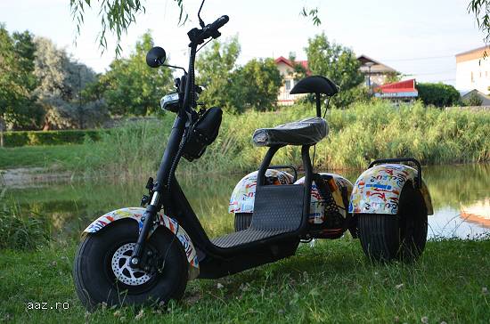 Scuter electric cu 3 roti 2000W 60V 20Ah Smarda SDM-301 #Grafiti