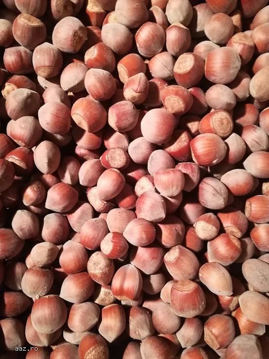 fructe de padure