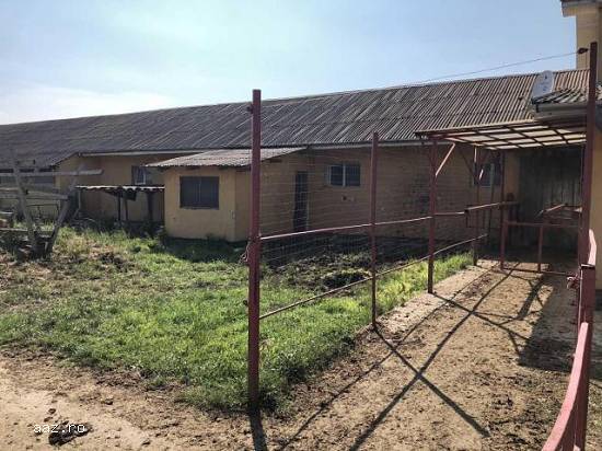 Lichidator judiciar vand ferma bovine - Satu Mare, 