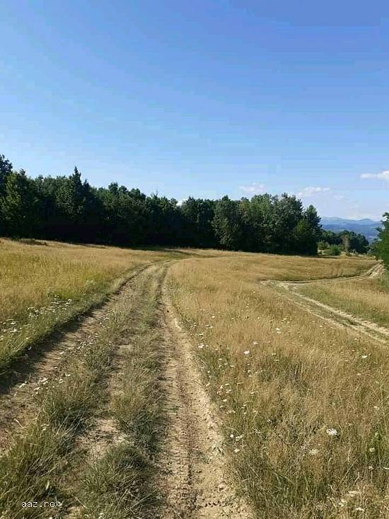 ❗TEREN DE VÂNZARE ❗