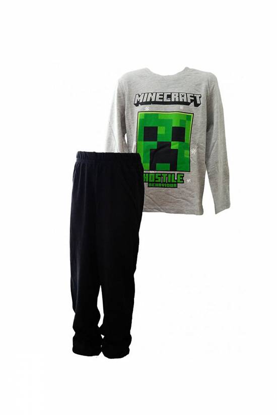 Ghiozdane si borsete Minecraft