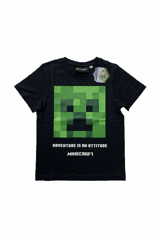 Ghiozdane si borsete Minecraft