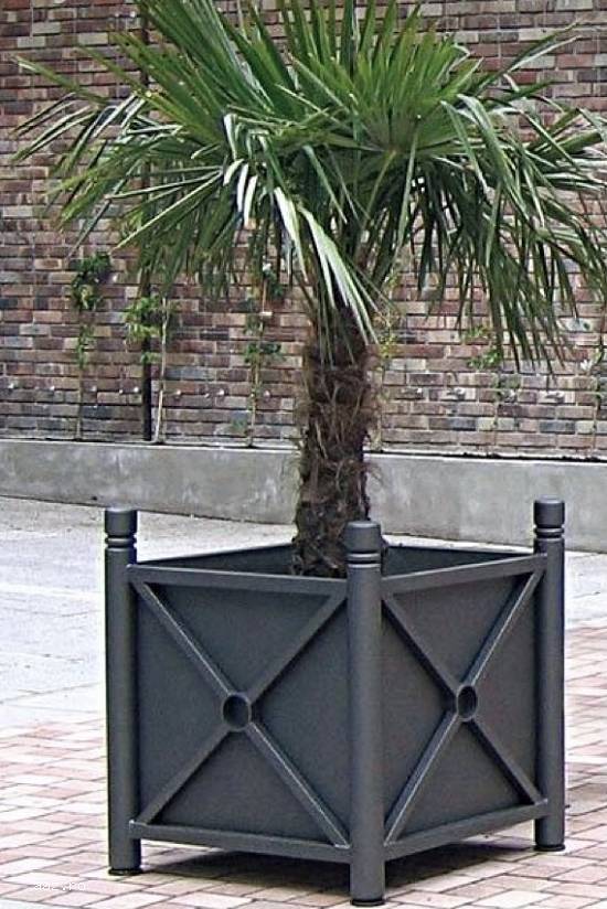 jardiniere flori / jardiniere arbusti