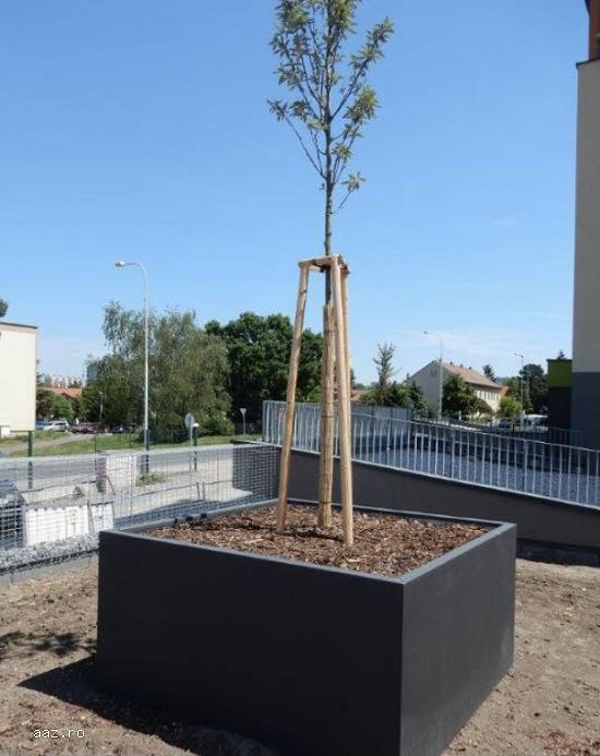 jardiniere arbusti / jardiniere flori