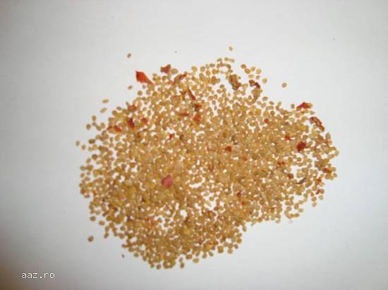 Arbusti Goji si Smochini