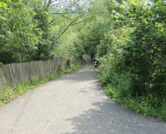 Oportunitate - Teren Gresu - Lepsa / Vrancea - 8.000 mp + 5000 mp